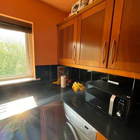 Gc Petit Palais * Dublin