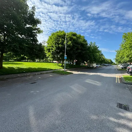 Gc Petit Palais Dublin