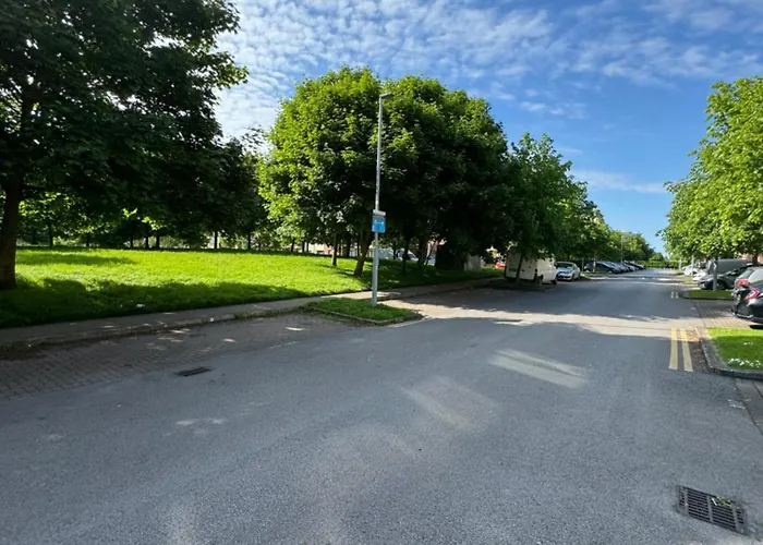 Gc Petit Palais Dublin