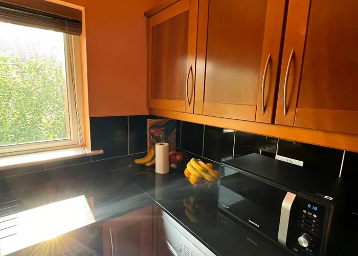 Gc Petit Palais * Dublin